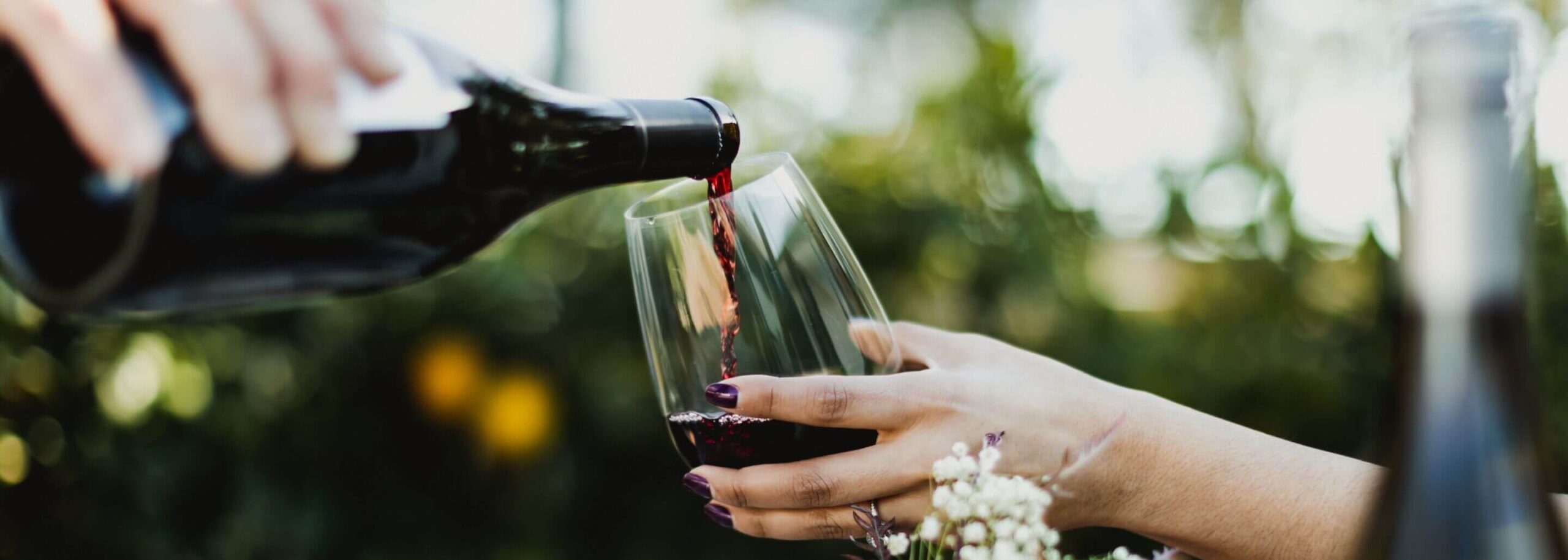 Discover SLO Coast Wine SLO Coast Wine